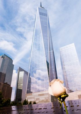 Ground Zero Rose