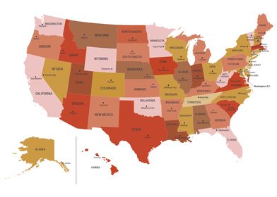 US Map Boho Colors