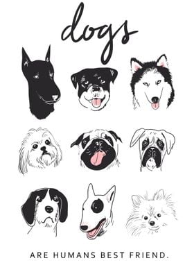 Cartoon dog breeds