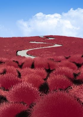 Hitachi Seaside Park