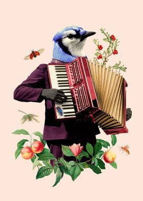 Bird Playing the Accordion