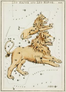 Leo Zodiac