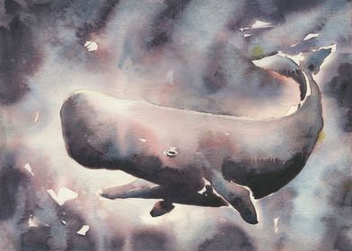Painting of spermwhale