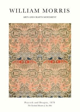 William Morris Coral