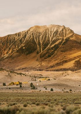 SAND MOUNTAIN 