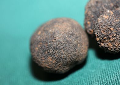 White and black truffles