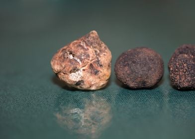 White and black truffles