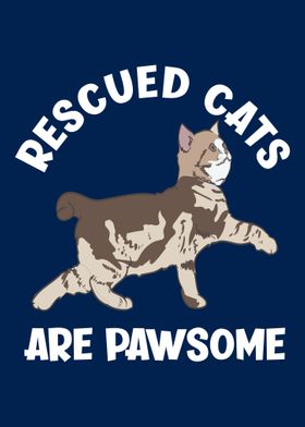Rescue Cats Are Pawsome