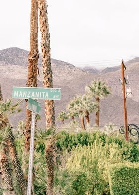 Palm Springs Street Signs