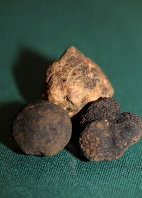 White and black truffles