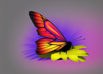 A colorful butterfly