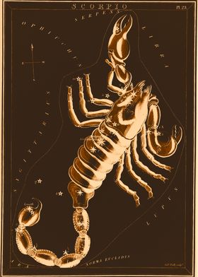 Scorpio astrology zodiac