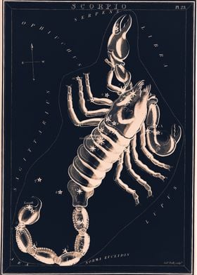 Scorpio astrology zodiac 