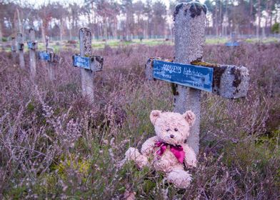 Wet bear with his cross