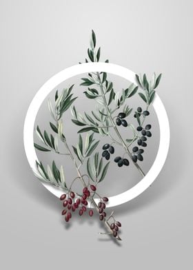 Vintage Wild Olive Flower