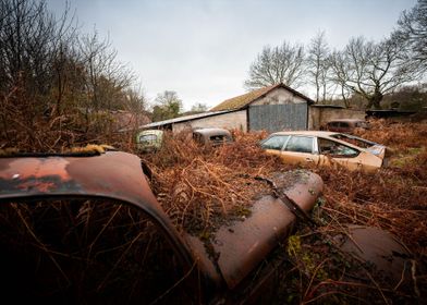Abandoned car field