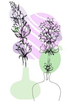 Lavender for Home