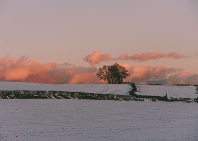 Pink Clouds and Snow