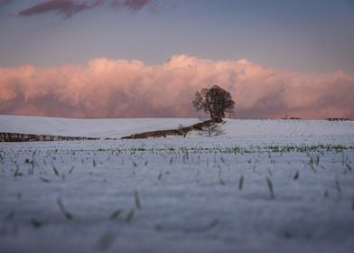 Pink Snow Sunset