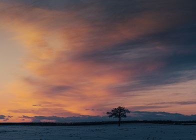 Orange Winter Sunset