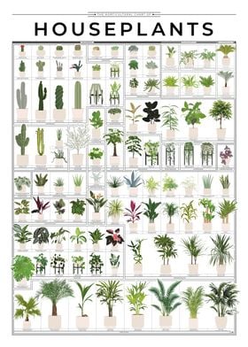 Horticultural Houseplants