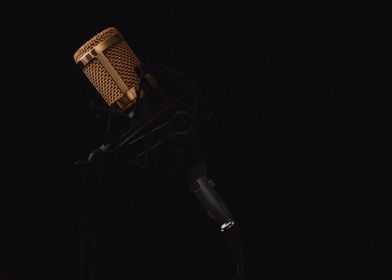 Black studio microphone