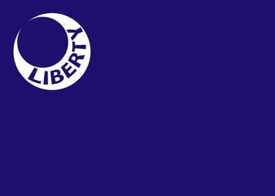 Fort Moultrie Flag