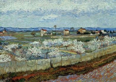 La Crau with Peach Trees