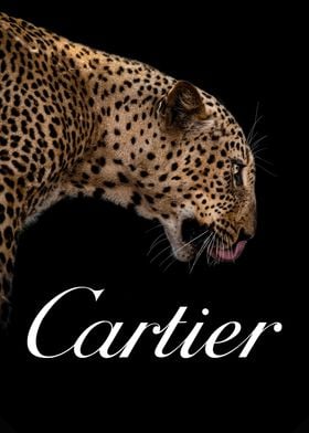 Cartier fashion poster