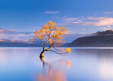 Lake Wanaka New Zealand