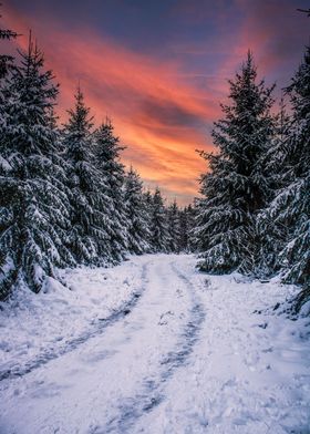snowy path w colorful sky
