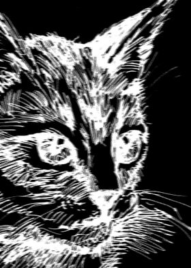 abstract cat black white