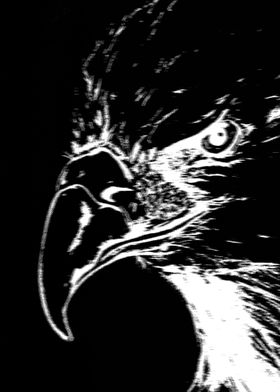 abstract eagle black white