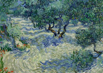 Olive Grove van Gogh