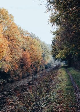 Autumn on the Canal