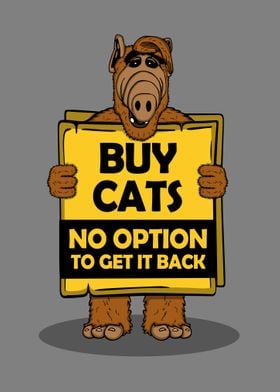 Buy Cats