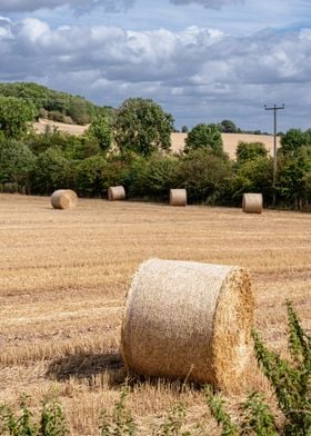 Hay Bales on the Farm