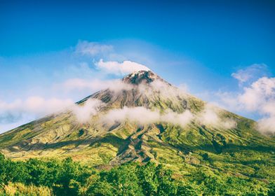 MISTY MOUNTAIN BEAUTY