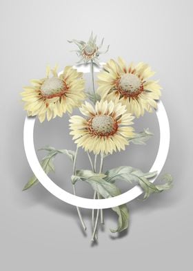 Vintage Blanket Flower Art