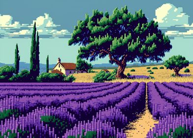 16bit Lavender fields 02