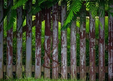 wooden gate