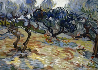  Olive Trees van Gogh