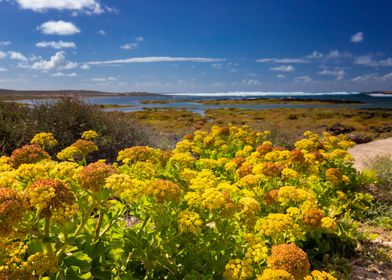 Spain landscape, Lanzarote