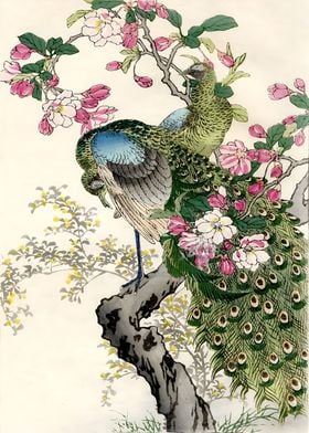 Ukiyo e Peacocks Kono