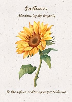 Sunflower Language