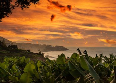 Madeira, Portugal island