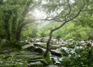 Mountain stream