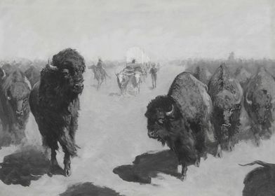 Bison Around Stagecoach