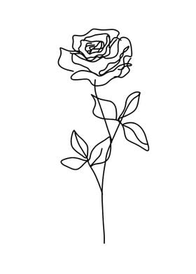 Rose line art