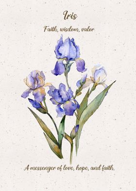 Iris Flower Language